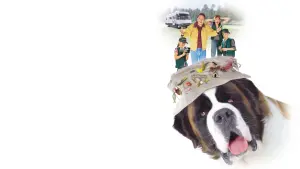 Watch film Beethoven's 3rd | Beethoven's 3rd - Trailer