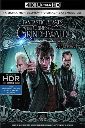 Poster to the movie "Fantastic Beasts: The Crimes of Grindelwald" #43124