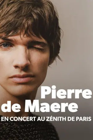 Poster to the movie "Pierre de Maere en concert au Zénith de Paris" #504656
