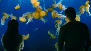 Backdrop to the movie "To All the Boys: P.S. I Still Love You" #812336