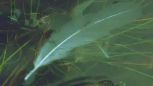 Backdrop to the movie "The Night Country" #477039