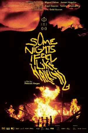 Poster to the movie "Some Nights I Feel Like Walking" #701238