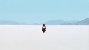 Backdrop to the movie "The Brown Bunny" #348681