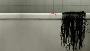 Backdrop to the movie "The Grudge" #330192