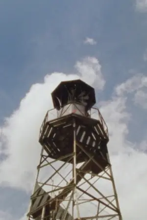 Poster to the movie "Direct Action" #777109