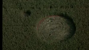 Backdrop to the movie "Signs" #670287