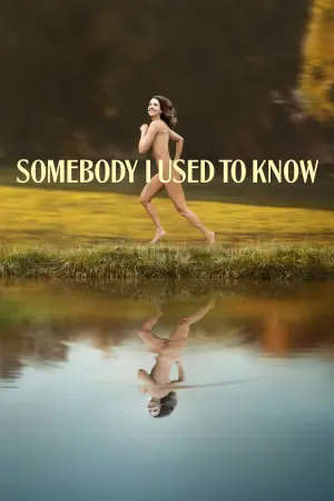 Poster to the movie "Somebody I Used to Know" #68180