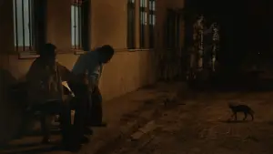 Backdrop to the movie "Ayşe" #738869