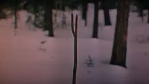 Backdrop to the movie "Dersu Uzala" #751356