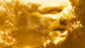 Backdrop to the movie "Sunshine" #656449