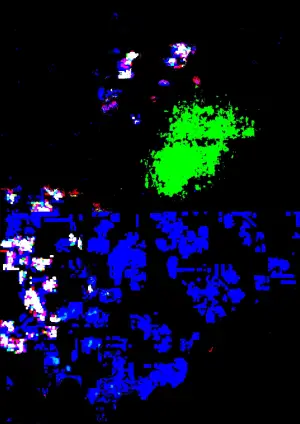 Poster to the movie "Gaze in the State of Confusion" #571547