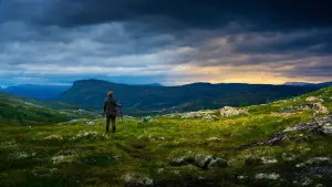 Backdrop to the movie "The Ash Lad: In the Hall of the Mountain King" #260486