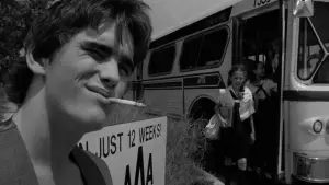 Backdrop to the movie "Rumble Fish" #720954