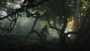 Backdrop to the movie "Annihilation" #618560