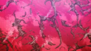 Backdrop to the movie "Attack on Titan: THE LAST ATTACK" #762279