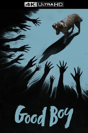 Poster to the movie "Good Boy" #770393
