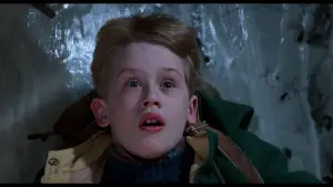 Backdrop to the movie "Home Alone 2: Lost in New York" #567242