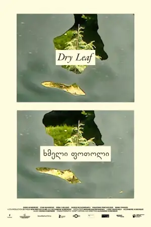 Poster to the movie "Dry Leaf" #770907