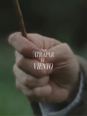 Poster to the movie "Para atrapar el viento" #539092