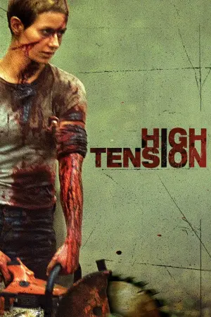 Movie poster "High Tension"