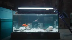 Backdrop to the movie "The Shrinking Man" #526991