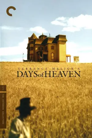 Poster to the movie "Days of Heaven" #716443