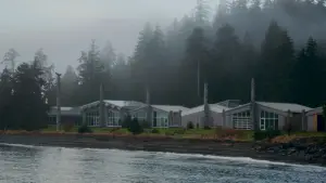 Backdrop to the movie "Saints And Warriors" #624240