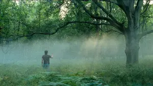 Backdrop to the movie "Sunshine" #458391