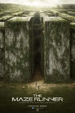 Poster to the movie "The Maze Runner" #551546