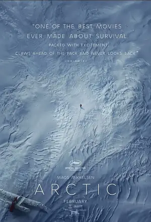Poster to the movie "Arctic" #727234
