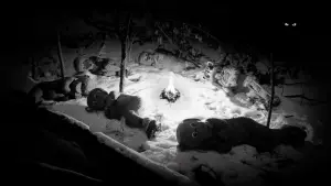 Backdrop to the movie "Hundreds of Beavers" #756250