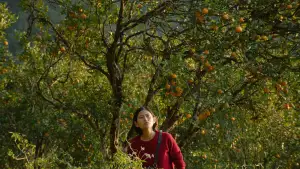 Backdrop to the movie "Shape of Momo: छोरा जस्तै" #820002