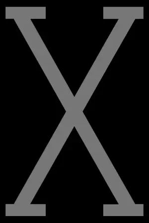 Poster to the movie "Malcolm X" #807124