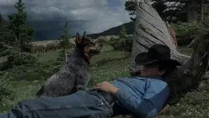 Backdrop to the movie "Brokeback Mountain" #753818