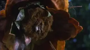 Backdrop to the movie "Seedpeople" #667247