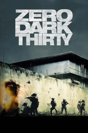 Poster to the movie "Zero Dark Thirty" #689433