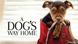A Dog's Way Home
