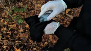 Backdrop to the movie "Fifth Mission" #775993