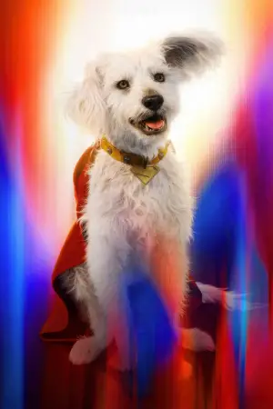 Poster to the movie "Superman: Legacy" #514262