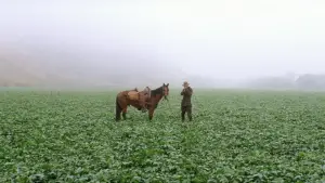 Backdrop to the movie "There Will Be Blood" #624091