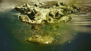 Backdrop to the movie "Gatorville" #540072