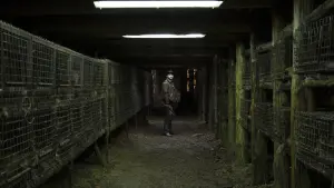 Backdrop to the movie "Spoor" #491798