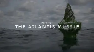 Backdrop to the movie "The Atlantis Mussels" #200754