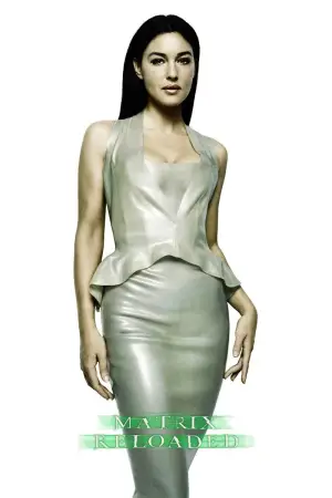 Poster to the movie "The Matrix Reloaded" #591939