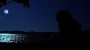 Backdrop to the movie "The Notebook" #752608