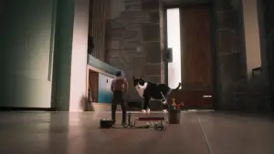 Backdrop to the movie "The Shrinking Man" #526987