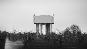 Backdrop to the movie "Terraforms" #782443