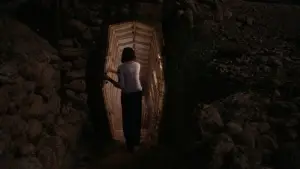 Backdrop to the movie "Tropicana" #788972