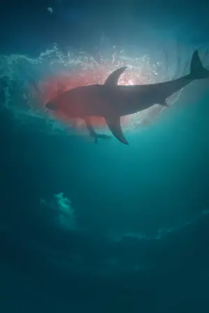 Poster to the movie "Deep Fear" #162443