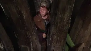 Backdrop to the movie "The Adventures of Robin Hood" #878702